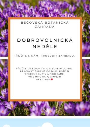 dobrovolnická akce v zahradě