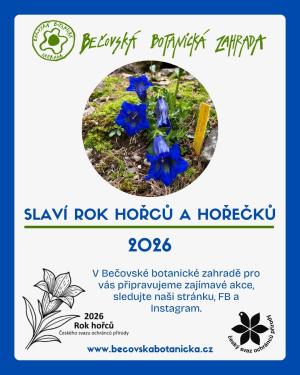 Rok hořců