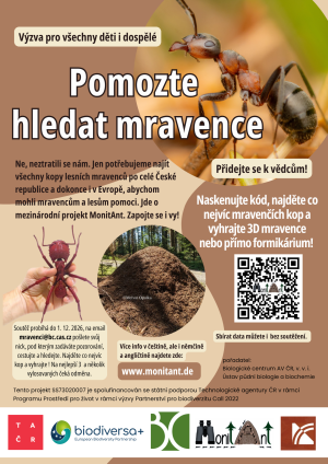 Mravenci