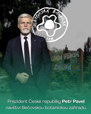 Prezident Petr Pavel